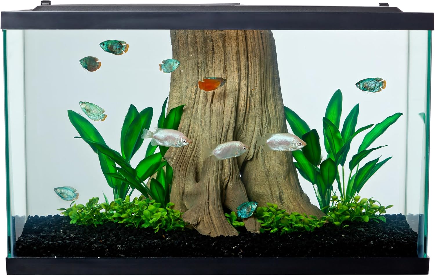 Tetra 29 Gallon Glass Aquarium product image