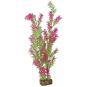 GloFish Accessories Plants - Aquarium Decorations - Fish Tank Plants for All Tank Sizes product image